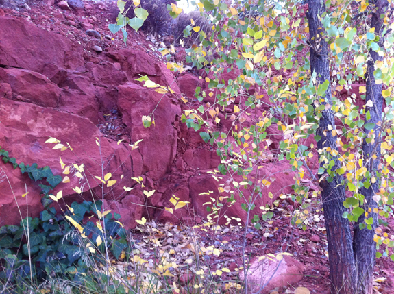 arizona_image3