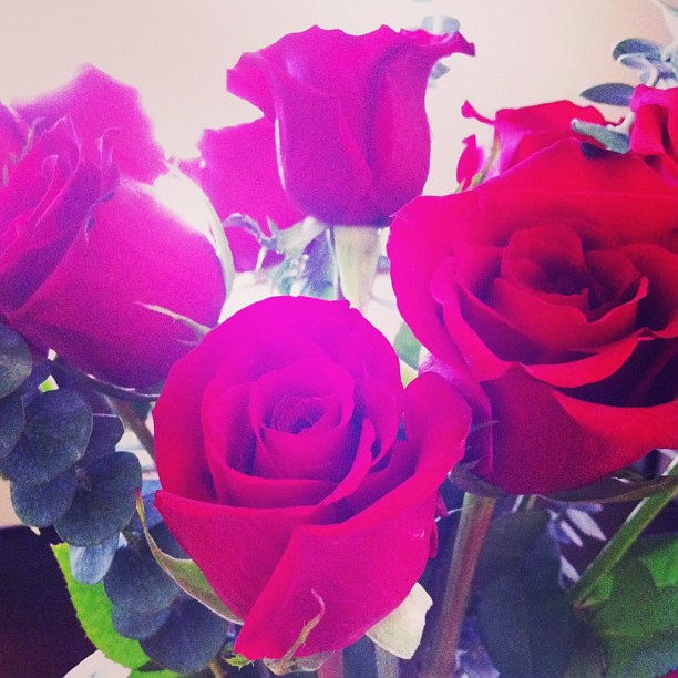 red_roses